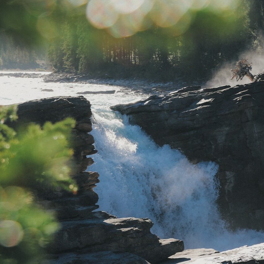 Kraftvoller Wasserfall in unberührter Natur, der die Reinheit und Ursprünglichkeit symbolisiert, in der funktionelle Pilze wie Lion's Mane, Cordyceps, Chaga und Reishi gedeihen – Grundlage für hochwertige mush up-Heilpilzprodukte.