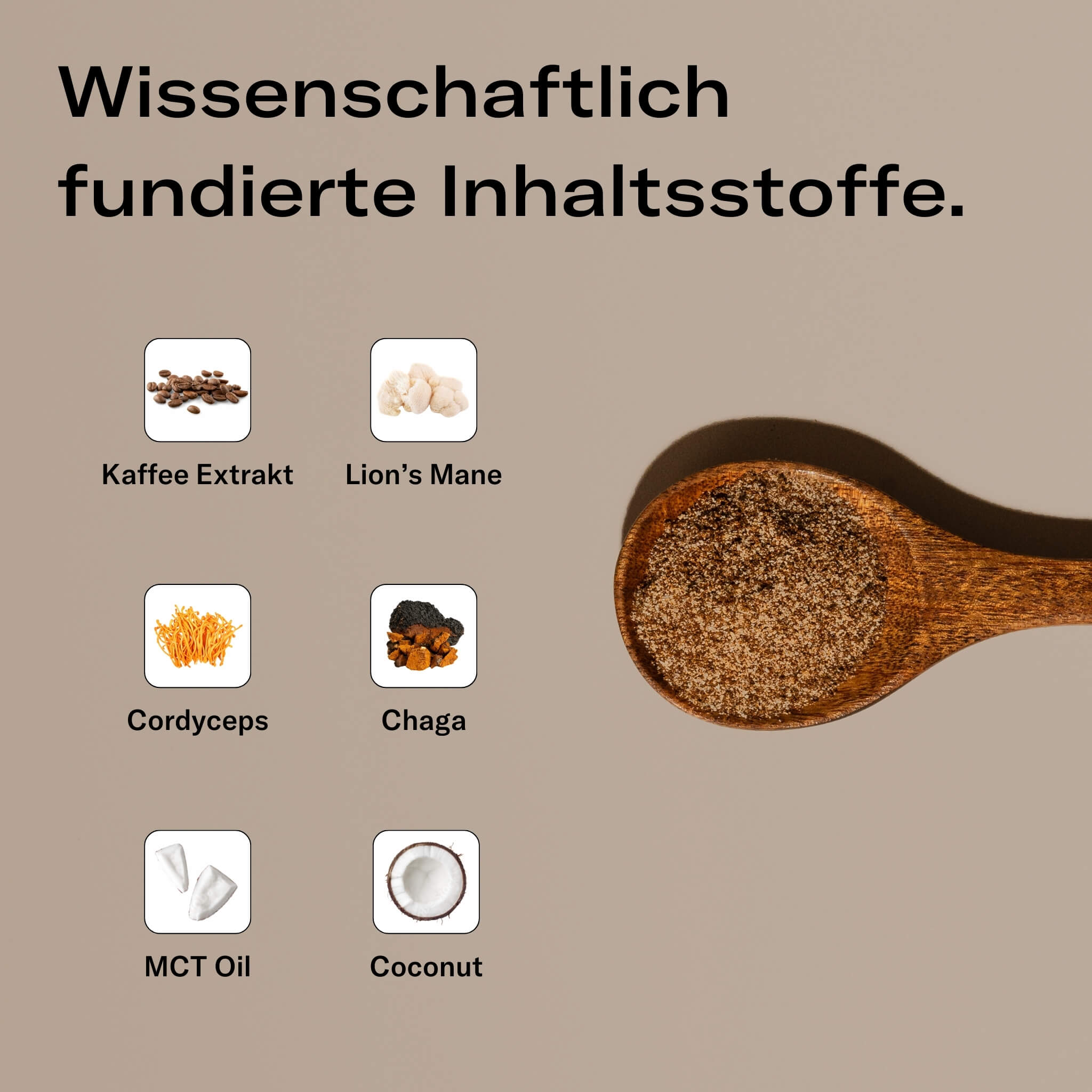 Wissenschaftlich fundierte Inhaltsstoffe von mush up Mushroom Coffee: Kaffee-Extrakt, Lion’s Mane, Cordyceps, Chaga, MCT-Öl und Kokosnuss – eine kraftvolle Mischung für Energie, Fokus und Immunsystemstärkung.